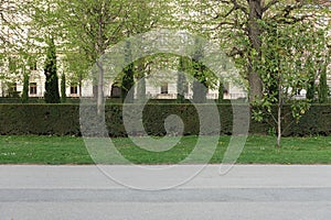 Street with trees and hedge