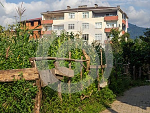 Street in a Turkish town. Quiet place. Asian city. Street overlooking the city. Mountains behind the houses. Residential area. A