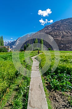 Street in Turtuk Viilage - Landscape of Nubra Valley in Leh Ladakh, Jammu and Kashmir, India