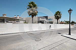 A street in an urbanization with a curved zebra crossing and palm trees