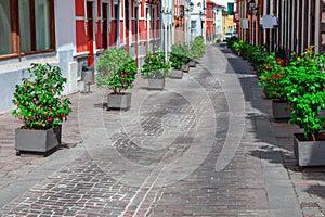 Street in Vega de San Mateo