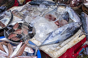 Street Vendor in Hue, Vietnam traditional fish market people selling fresh fish on the sidewalk.