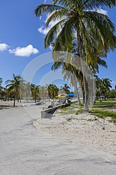 A street vendor selling food at the beach surrounded by lush green palm trees and plants with blue sky at Crandon Park