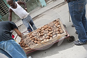 Street Vendor Selling Mamay Fruit Havana Cuba