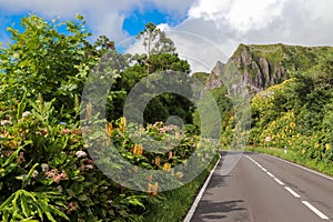 Street view of basalt cliffs of Rocha dos Bordoes on Flores island, Azores, Portugal photo