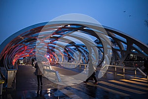 Street view of Bird`s Nest bridge in Geneva