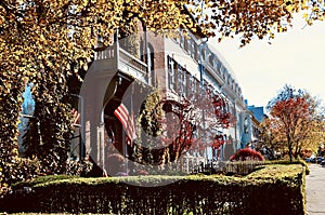 Historic Row Houses with Nice Garden in Geneva, New York