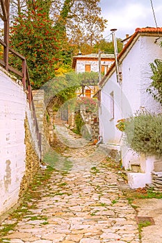 Street view at Makrinitsa village,Pelion, Greece
