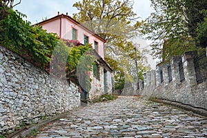 Street view at Portaria village of Pelion, Greece