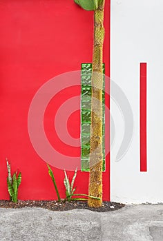 Street view of red and white building facade with cactus, architecture background, Ecuador