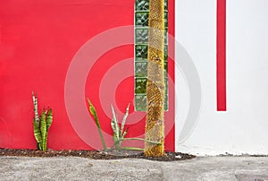 Street view of red and white building facade with cactus, architecture background, Ecuador