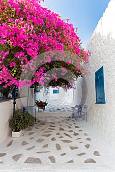 Street at the village of Perdika on Aegina Island in Greece