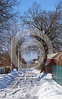 Street in village on winter sunny day, Moscow region, Russia