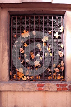 Street wall with red orange autumn leaves on rusted iron outlet of building ventilation hood