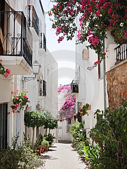 Street of white Andalusian village, spain, with flower pots and greenery, located on Mojacar, AlmerÃ­a