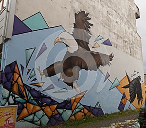 Streetart, eagle and raven photo