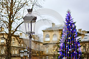 Streetlamp and Christmas tree in the background