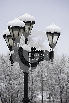 Streetlamp covered with snow