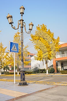 Streetlamp and crossing sign