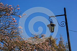 Streetlamp and flowers in Antigua, Guatemala