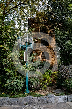 Streetlamp and tower in bush