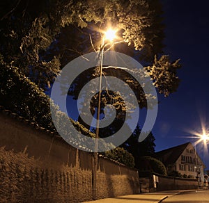 Streetlamp and Tree