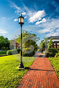 Streetlight along a brick walkway at John Hopkins University in