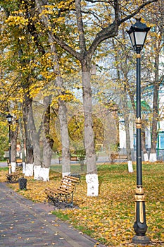 Streetlight in autumn park on cloudly afternoon