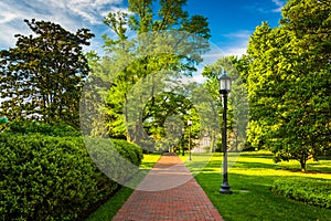 Streetlight and bushes along a brick walkway at John Hopkins Uni