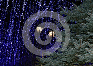 Streetlight and fir on the background of lights