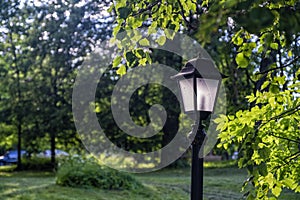 Streetlight in the park on a sunny summer day photo