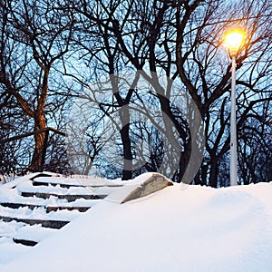 Streetlight and trees in the snowy park photo