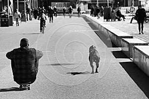 Man on skateboard with dog