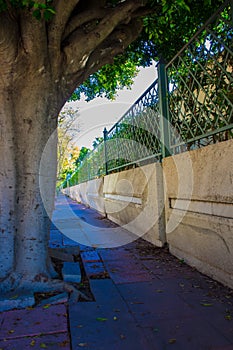 Streets of the city of Puerto Banus.