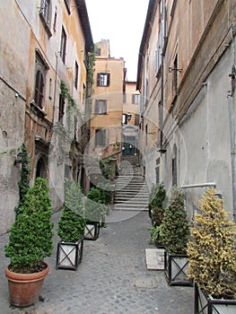 Streets and courtyards of old Rome, Italy. Narrow building, potted plants.