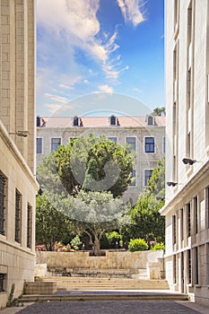 Streets of Downtown Beirut