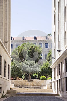 Streets of Downtown Beirut