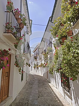 Streets full of flowers in old town of Priego de CÃ³rdoba Andalusia Spain