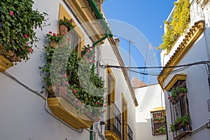 Streets and houses of Cordoba, Spain