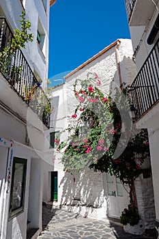 Streets and houses inside Cadaques town photo