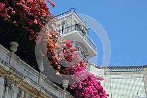 Streets of Lisbon. Historic buildings photo