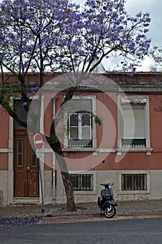Streets of Lisbon. Moto. AlcÃ¢ntara. Portugal. JacarandÃ¡. Red building. Windows. Door. Blue and violet.