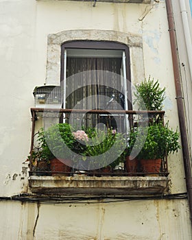 Streets of Lisbon. Walls, doors and windows. Historic buildings. Authentic Portugal. Beautiful Portugal. Ruas de Lisboa. Portugal. photo