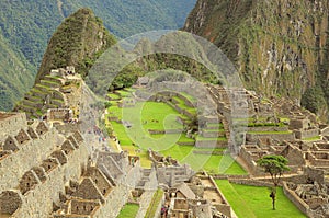 On the streets of Machu Picchu.