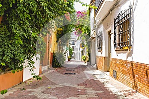 Streets of Marbella in Spain with flowers and plants on the faca