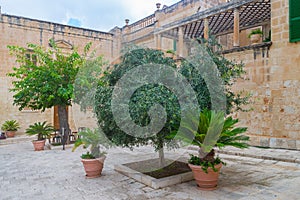 Streets of Mdina, called Silent City, medieval capital of Malta