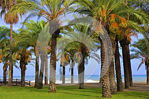 Streets of Torremolinos, Spain