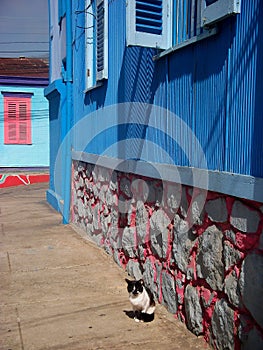 Streetview valparaiso chile colorful wall paintings