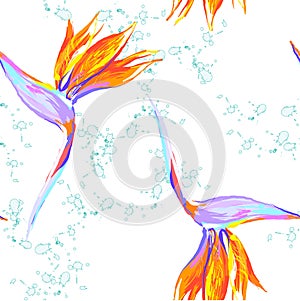 Strelitzia reginae flower bird-of-paradise, crane flower seamless pattern with splash on white