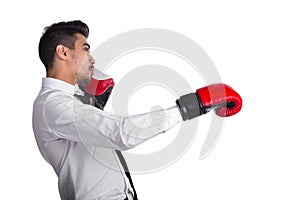 Strength businessman box fighter in boxing gloves